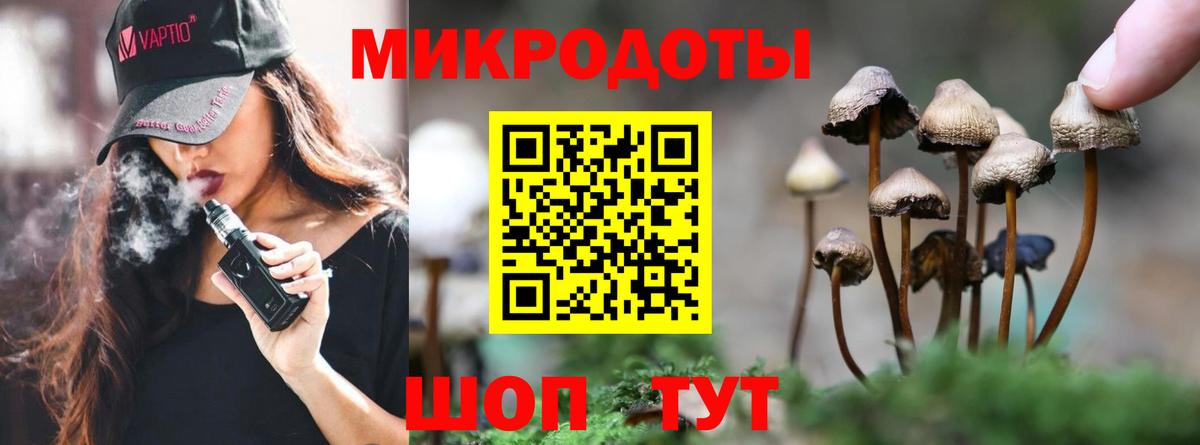 Воткинск  Галлюциногенные грибы мицелий  Галлюциногенные грибы Psilocybe  Вход с VPN 